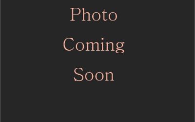 Photo Coming Soon - Tall